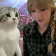 Taylor Swift gab ihrer Katze Meredith Nachhilfe