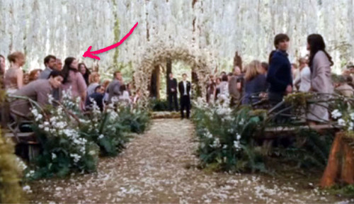 Breaking Dawn, Stephenie Meyer - Bei der Breaking Dawn-Hochzeit spielt Stephenie Meyer mit