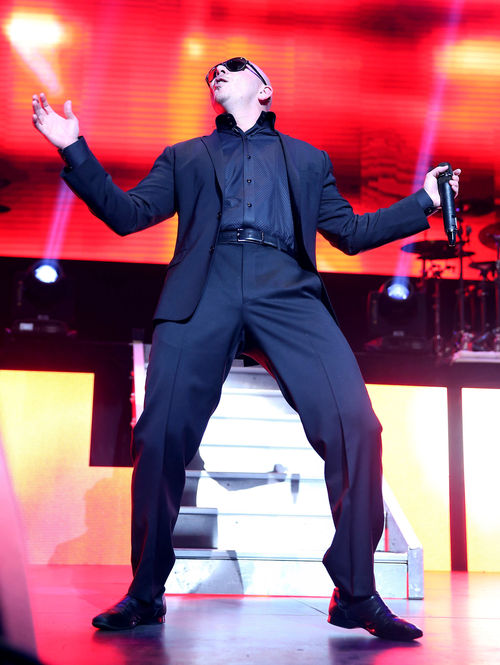 Pitbull kann sich freuen Pitbull kann sich freuen