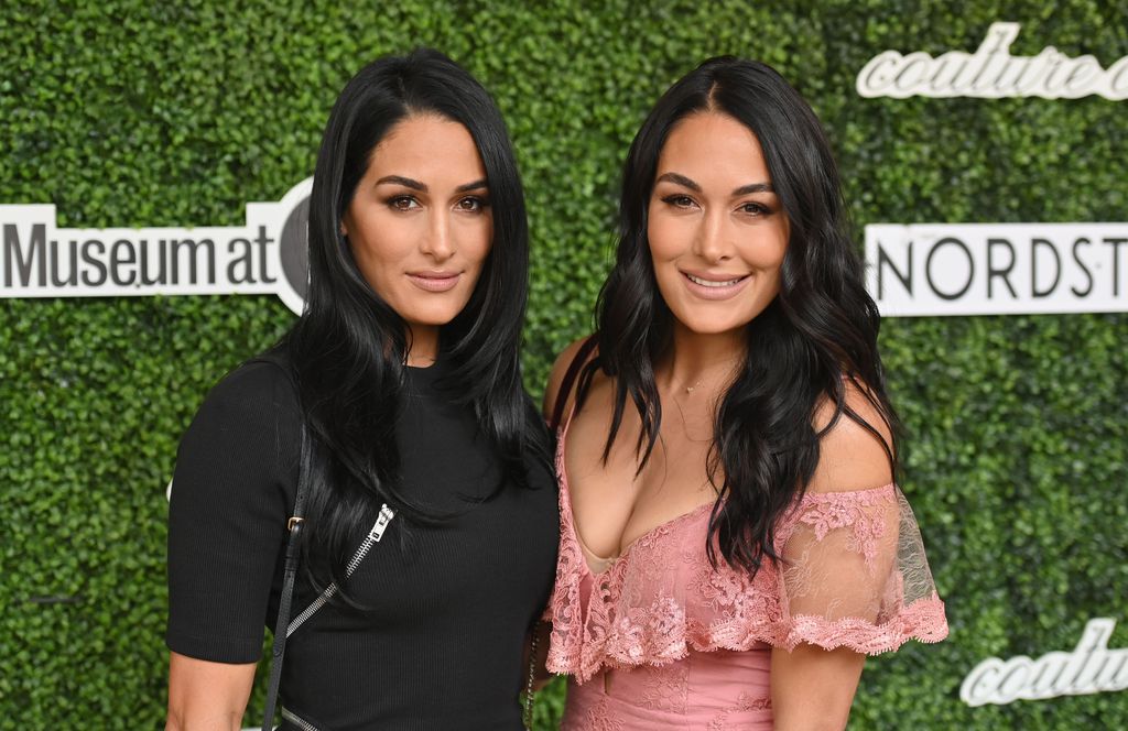 Blitz Verlobung Und Baby Brie Bella Verstand Nikki Nicht Promiflash De