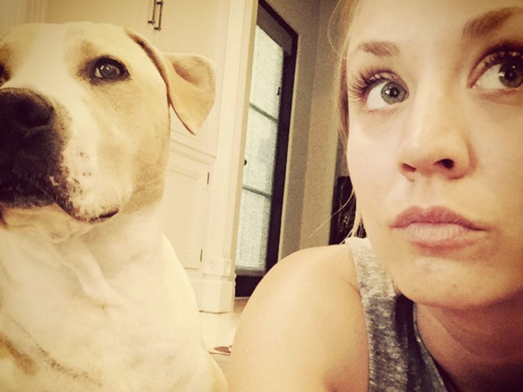 Tierischer Liebesbeweis Kaley Cuoco plant ein HundeTattoo Promiflash.de