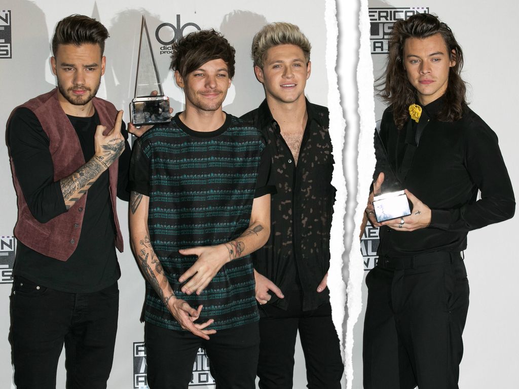 Wann Haben Sich One Direction Getrennt