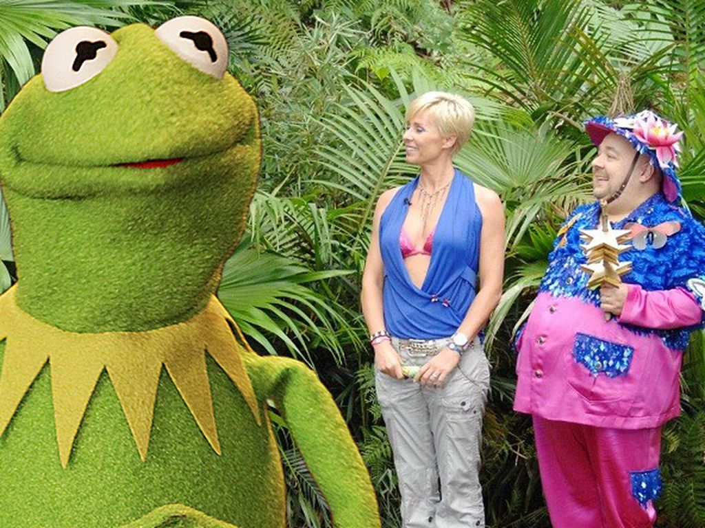 Dschungelcamp Frosch Dschungelcamp Frosch