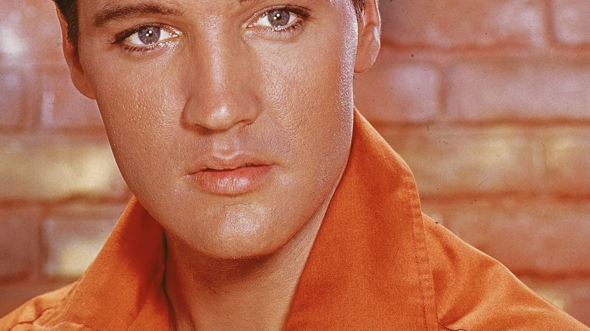 Elvis Presley Filme Deutsch Elvis Presley Filme Deutsch