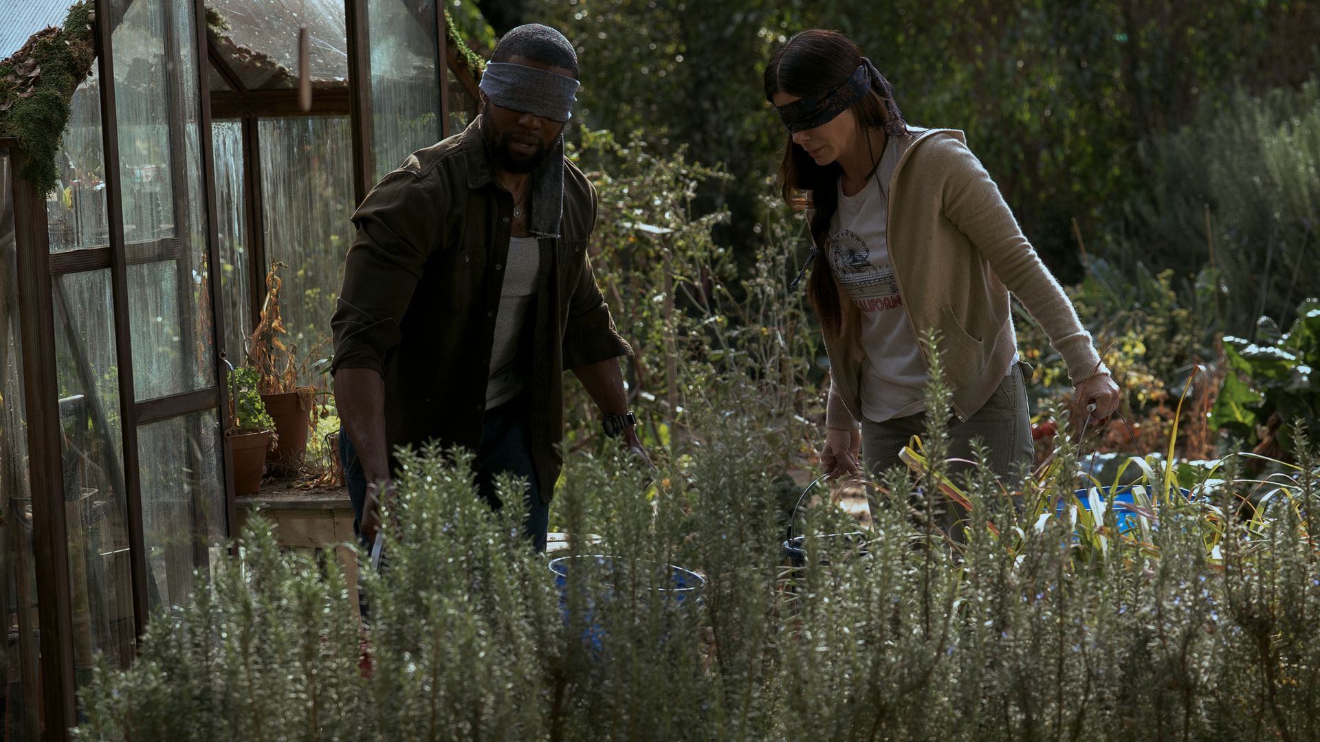 Bird Box Kritik Bird Box Kritik