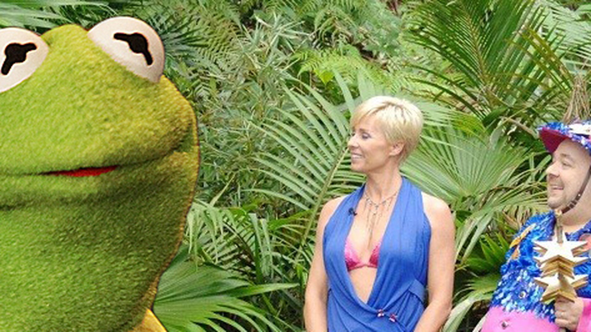 Dschungelcamp Frosch Dschungelcamp Frosch