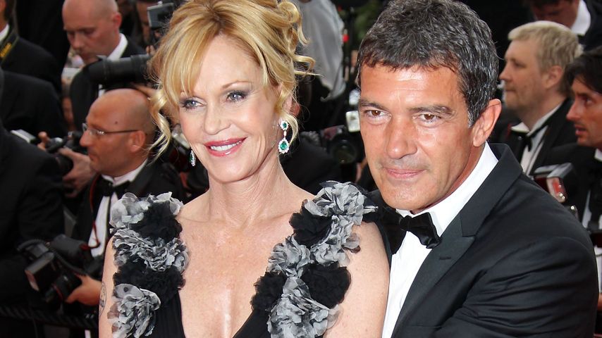 Melanie Griffith und Antonio Banderas