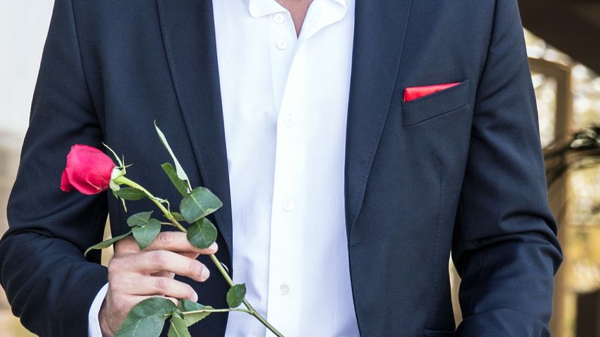 Der Bachelor