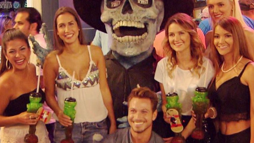 Mitleid vs. Häme: Bachelor-Girls reagieren auf Violas Aus!