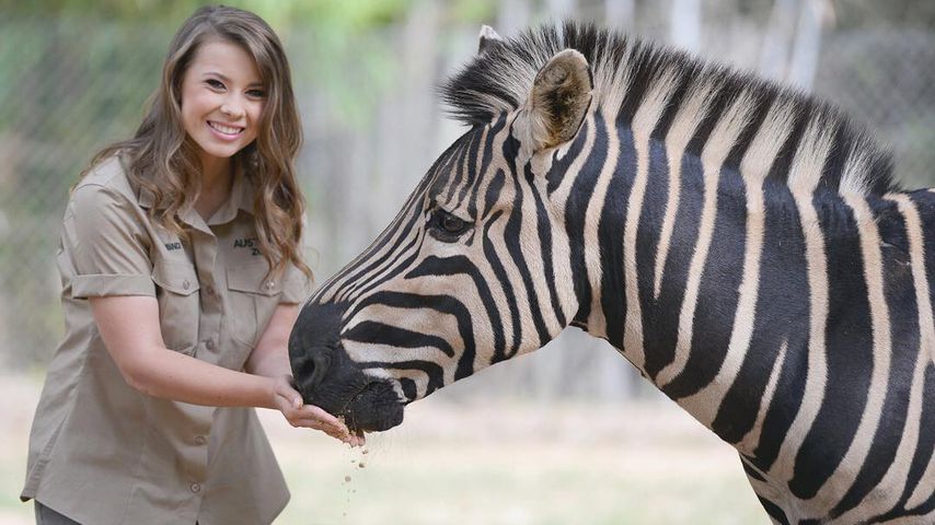 Bindi Irwin 2017