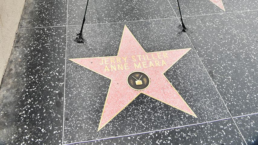 Anne Meara