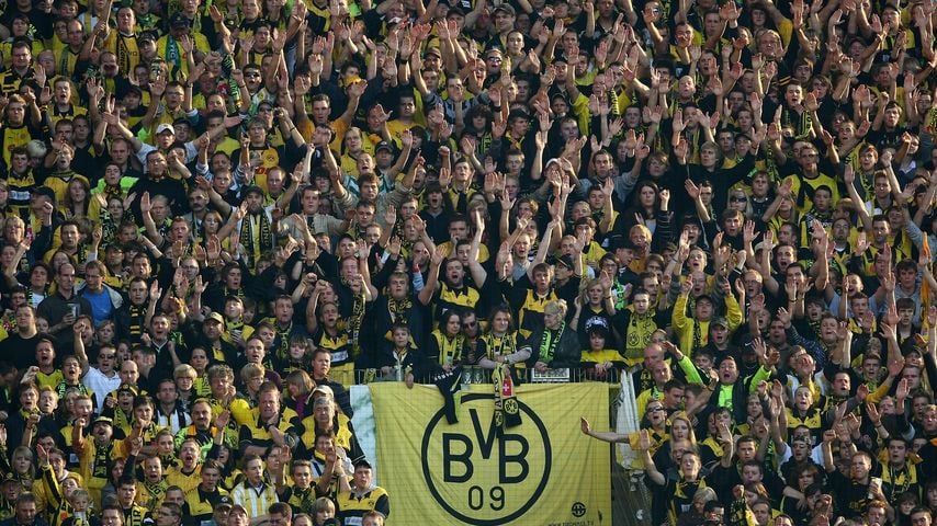 BVB-Fans