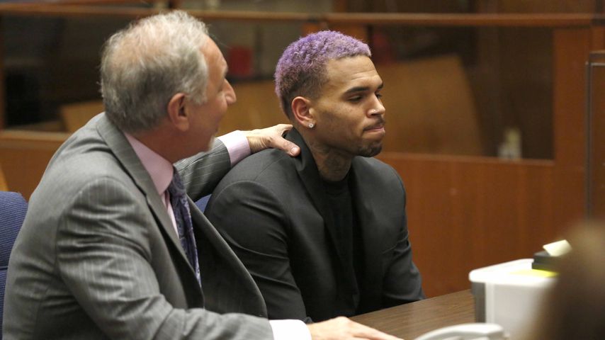 Chris Brown und Mark Geragos