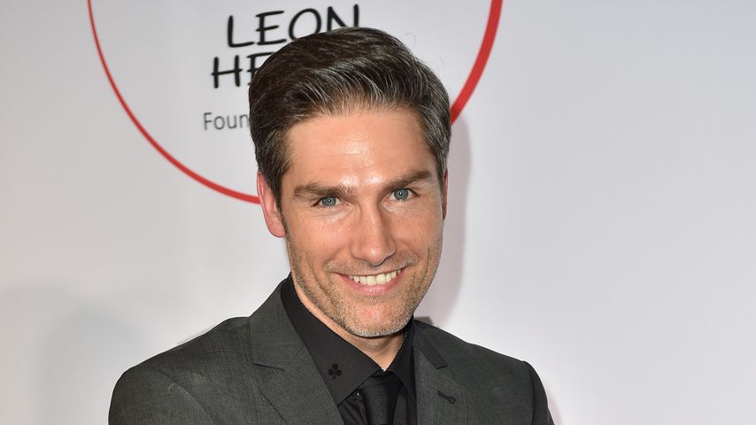 Christian Polanc, Profitänzer bei "Let's Dance"