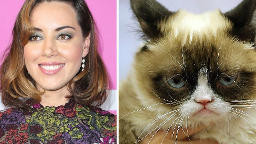 Grumpy Cat und Aubrey Plaza
