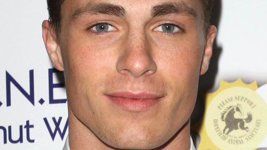 Colton Haynes, Schauspieler