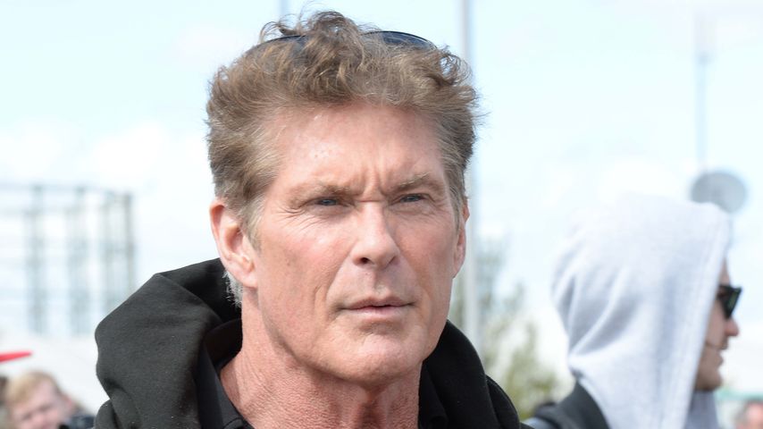 David Hasselhoff, Schauspieler und Sänger