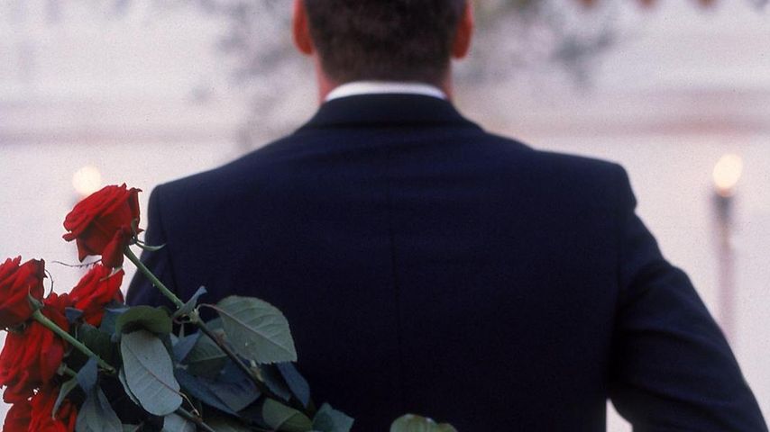 Der Bachelor