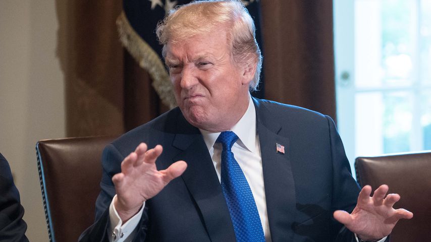 Donald Trump, US-Präsident