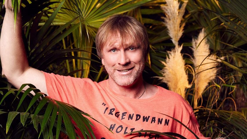 Ansgar Brinkmann: Holt sich der Kicker den Dschungel-Sieg?