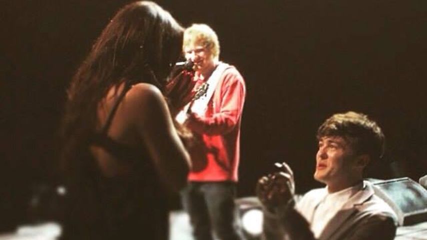 Ed Sheeran, Jesy Nelson und ihr Freund