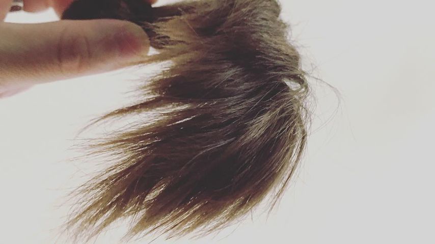 Felix von Jascheroffs abgeschnittene Haare