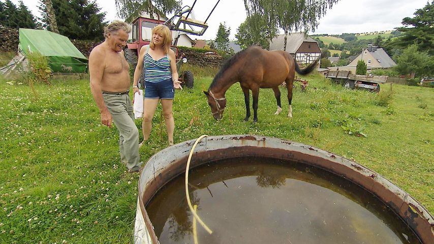 Gerhard und Nicole beim Bad auf der Weide