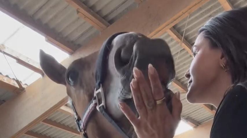 Gloria Glumac und ihr Pferd Heartbreaker Airlines