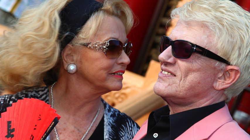 Heino