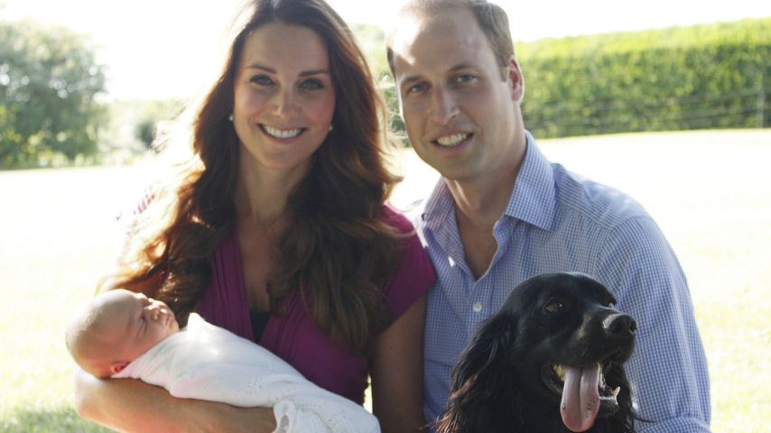 Herzogin Kate mit Prinz William und dem kleinen Prinz George im Park