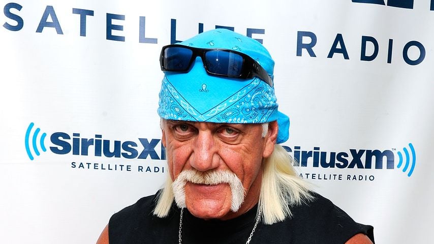 Hulk Hogan, 2011