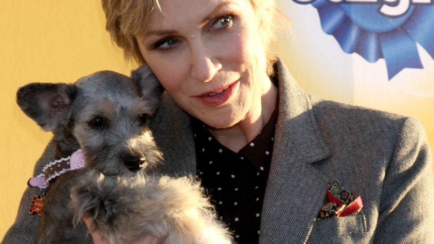 Jane Lynch