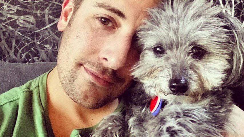 Jason Biggs, Schauspieler