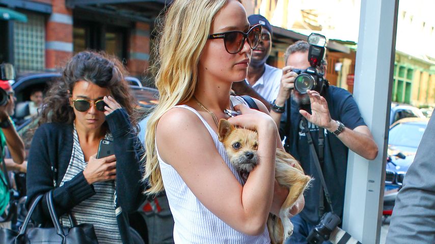 Jennifer Lawrence und Hund Pippi