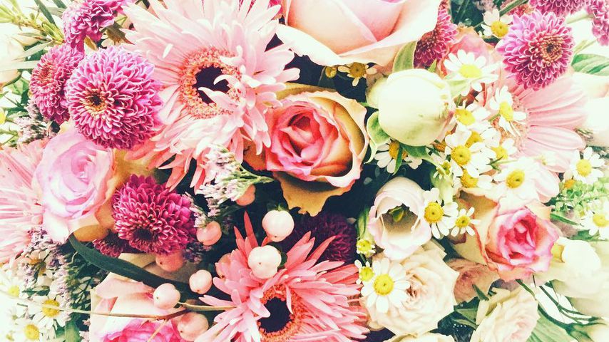 Johannes Strates Blumenstrauß für Freundin Anna Angelina Wolfers