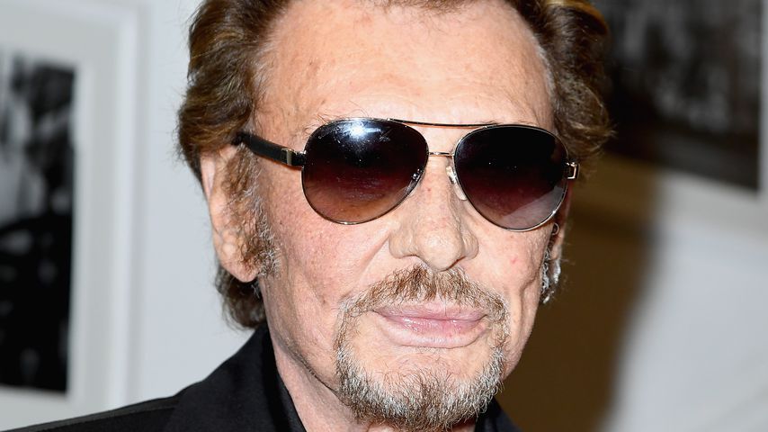 Johnny Hallyday, Rockikone