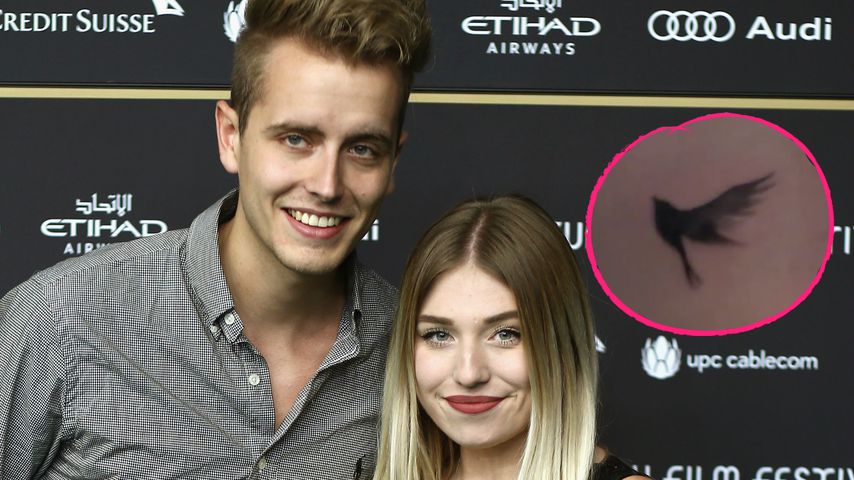 Nicht mit Julian! Bibi Heinicke trägt jetzt Partner-Tattoo
