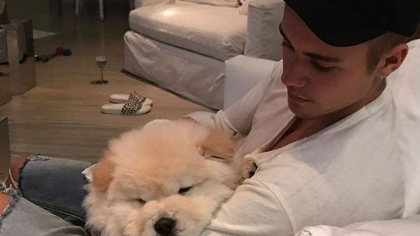 Justin Bieber und sein Hund Todd