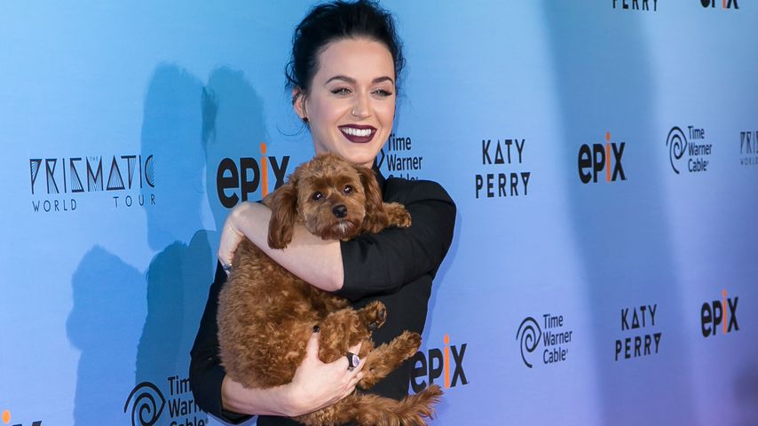 Katy Perry