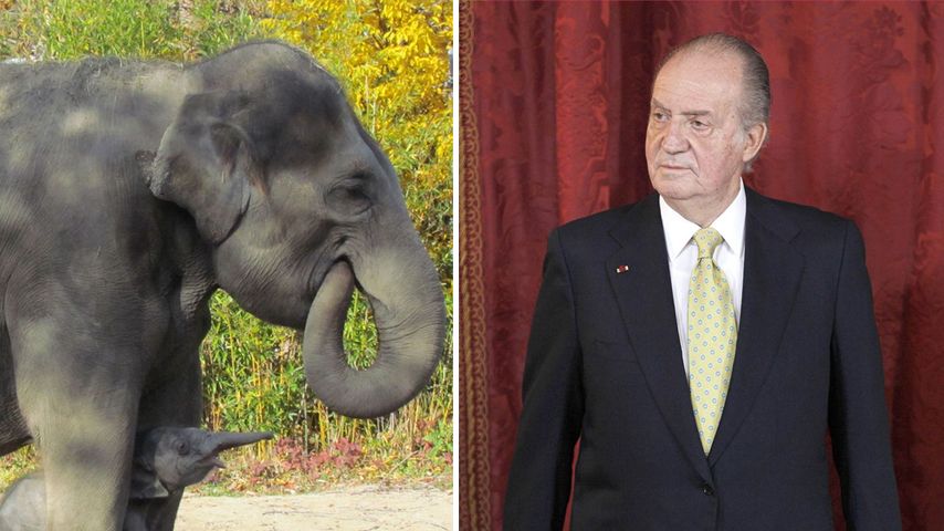 König Juan Carlos