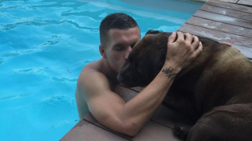 Lukas im Pool mit seinem Hund
