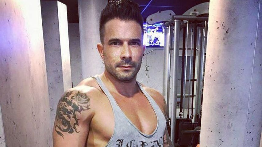 Marc Terenzi, "SixxPaxxs"-Star