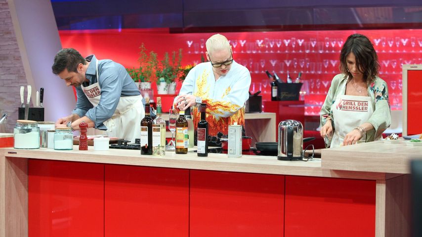 Jana Pallaske, Hella von Sinnen und Marco Schreyl