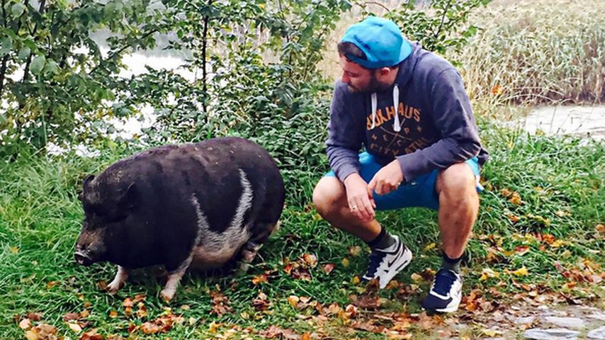 Marteria