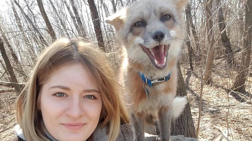 Die Fuchs-Flüsterin: Bei ihr werden Pelzträger zu Haustieren