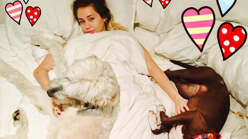 Miley Cyrus, Sängerin und Schauspierlein
