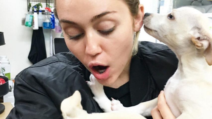 Miley Cyrus