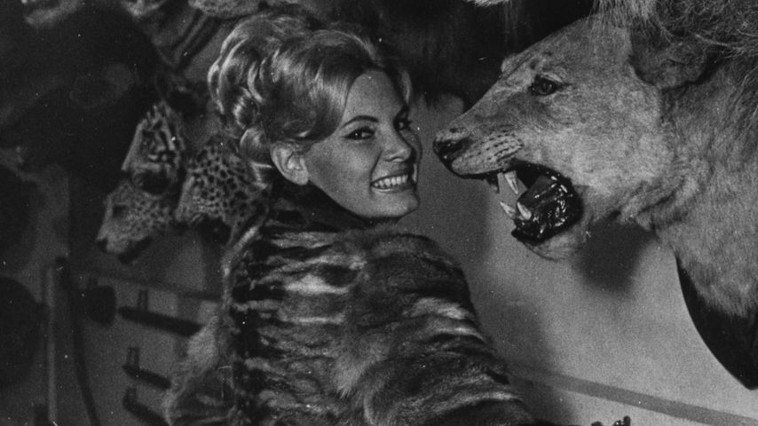 Molly Peters, Schauspielerin