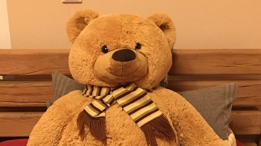 Carmen Hankens "Mr. Paddington"-Teddybär