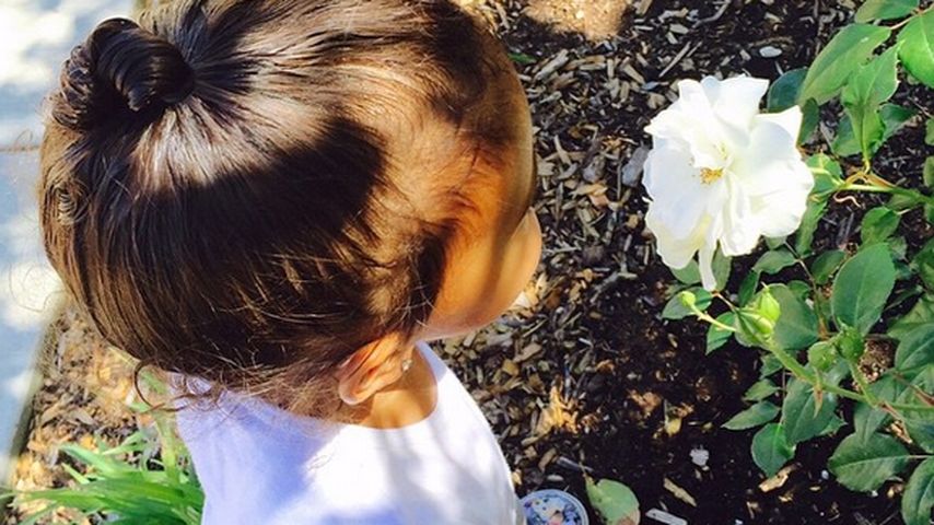 North West